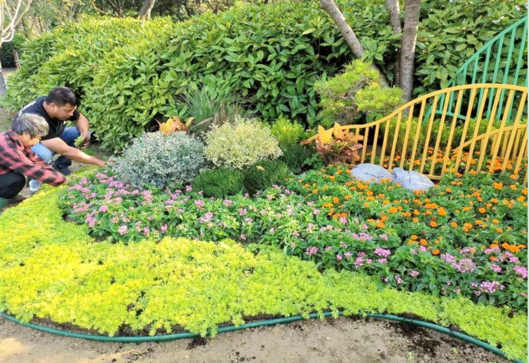 1601267943724464.jpg 1601267868(1).jpg