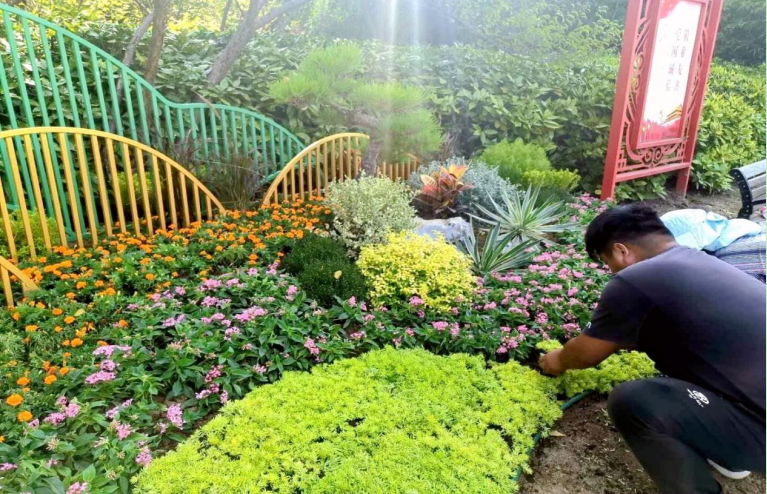 1601267946549228.jpg 1601267880(1).jpg