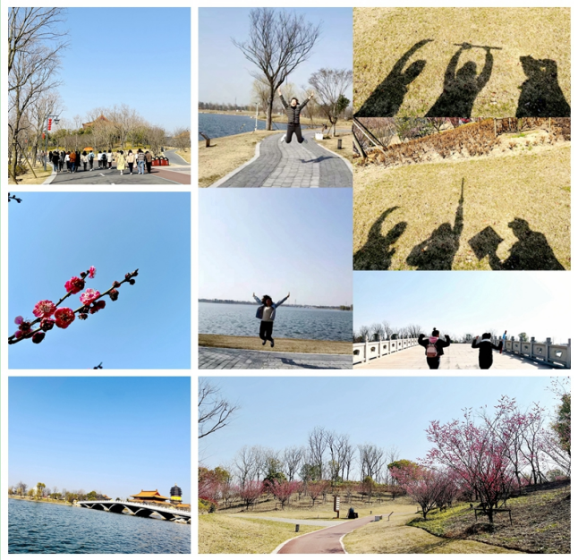 1646726813322395.png LZ~AV(2YT`QQ{}~ZGX~R@1X.png