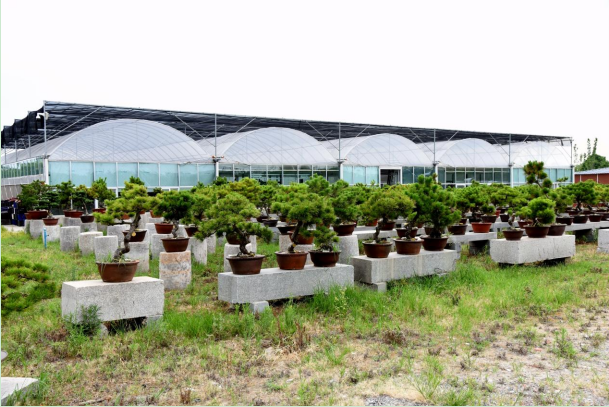 1657696222133372.png C_RR3$}$G3[S_HQP%A%@FRD.png