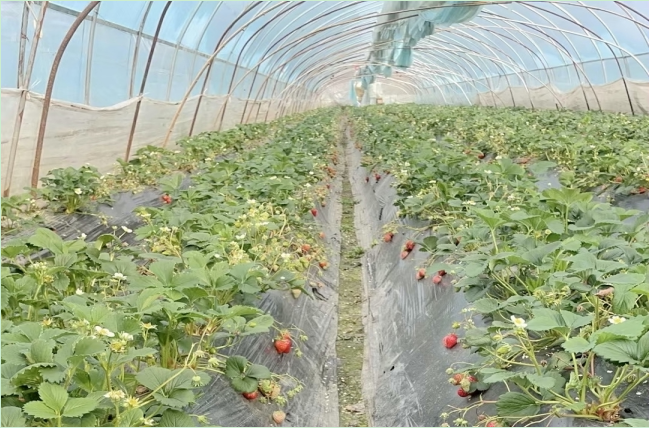 1709872088742723.png EFIZ}HL7W4@K{}6$WXKS$3D.png