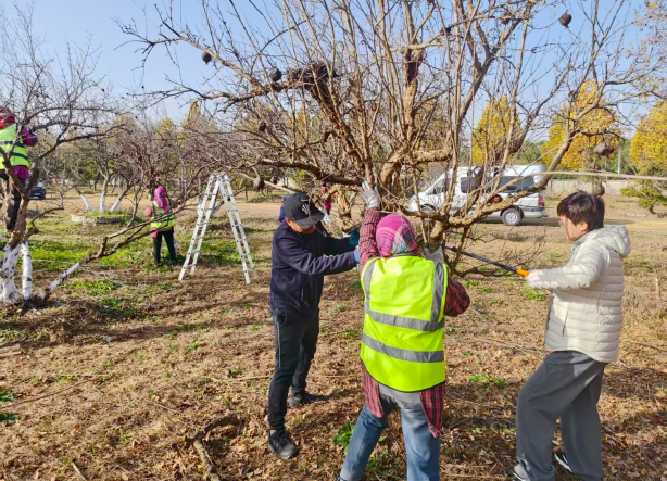 1764641960786231.png 27d27f6e-9cc5-4281-a040-af45a71ba0fb.png